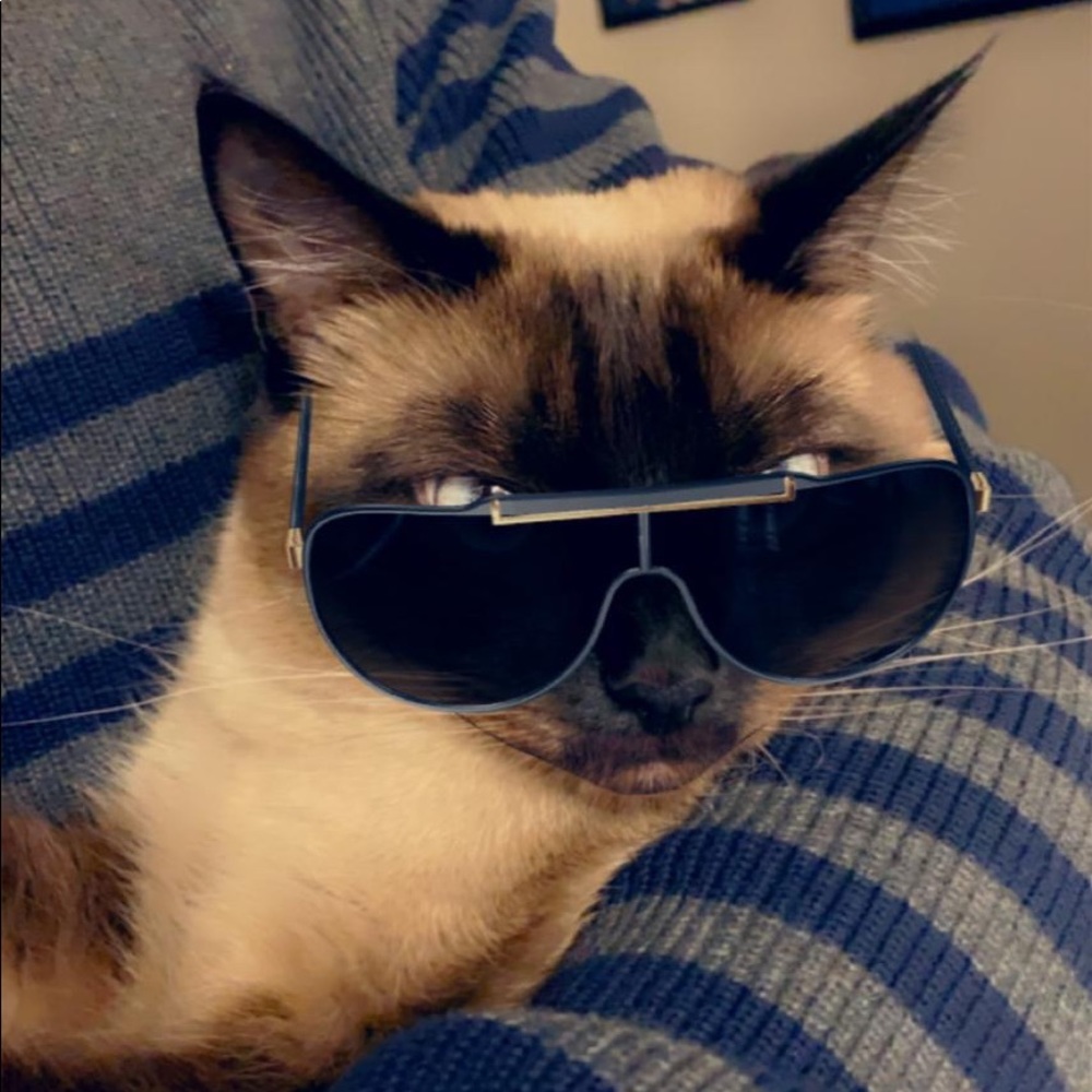 Meet your Posher, Dee